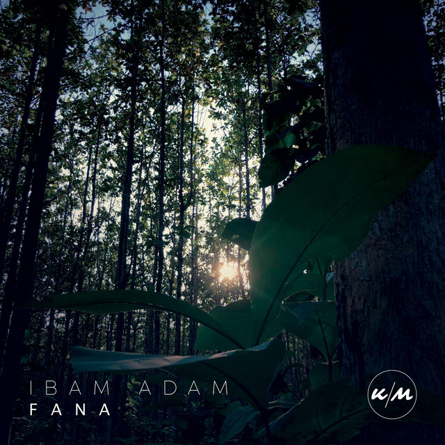 Fana album cover